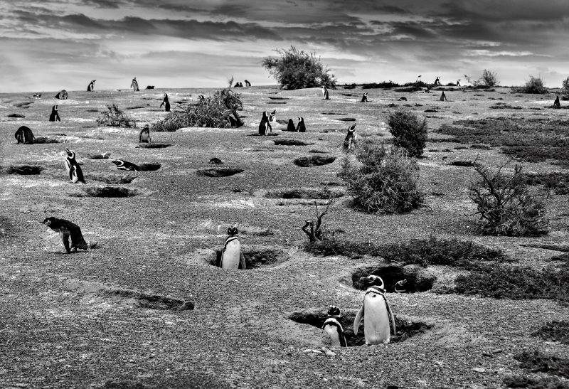 Christian Massari / Sony World Photography Awards